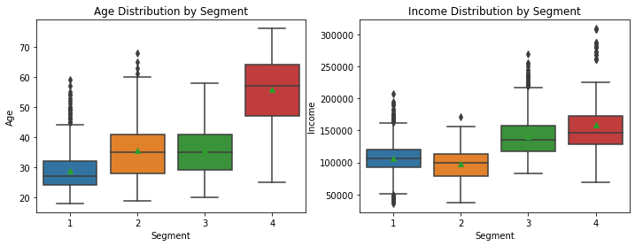 Age and Income Distribution by Segment