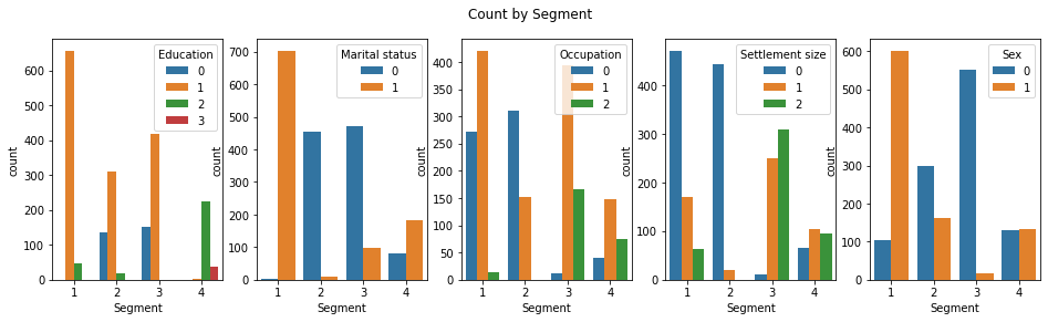 Count by Segment